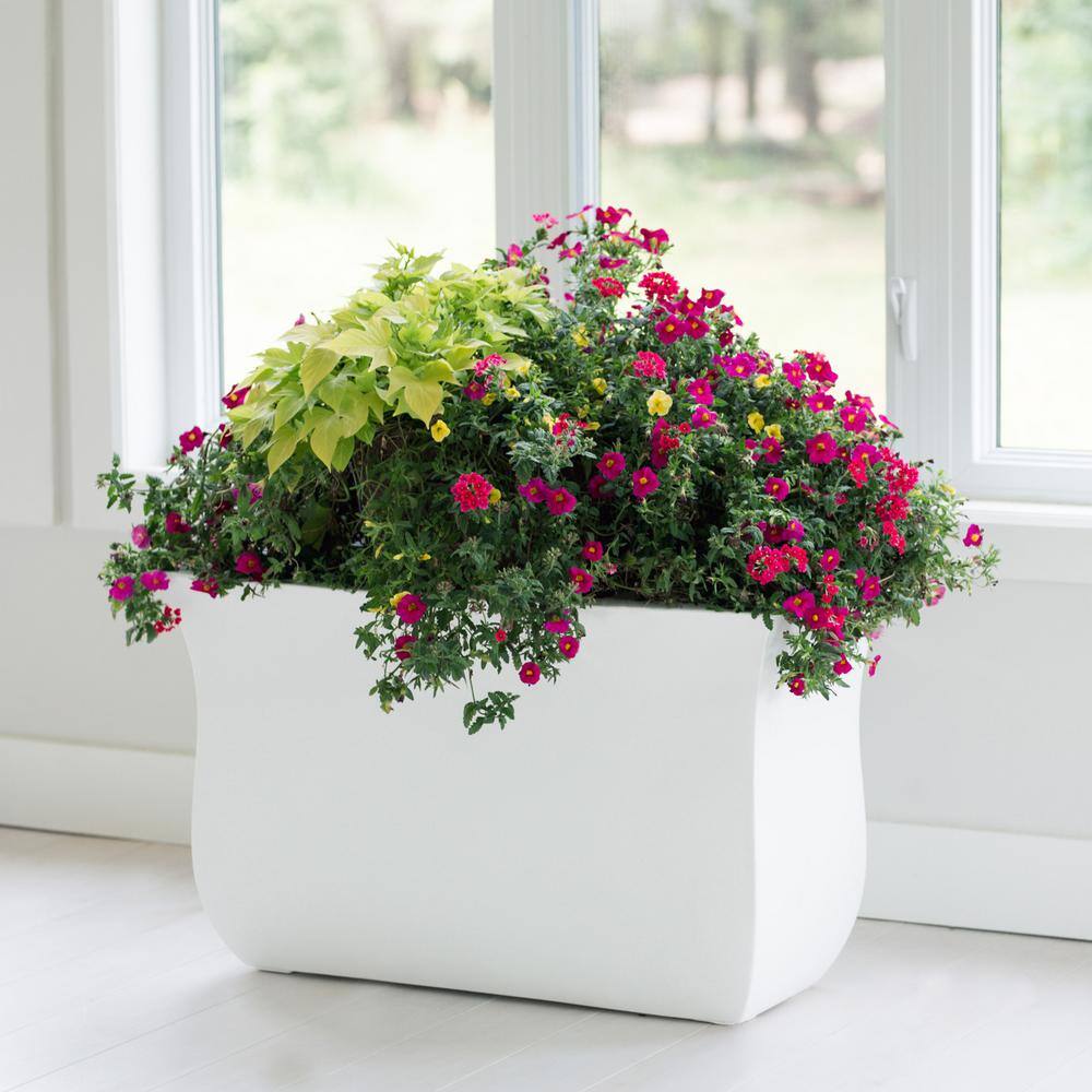 Mayne Valencia 36 in. x 16 in. x 22 in. White Long Polyethylene Planter
