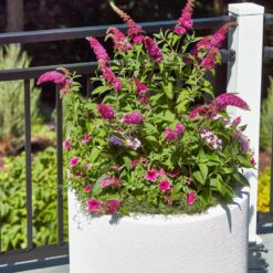 PolyStone Planters Baja Round 23 in. x 19 in. White Composite Planter