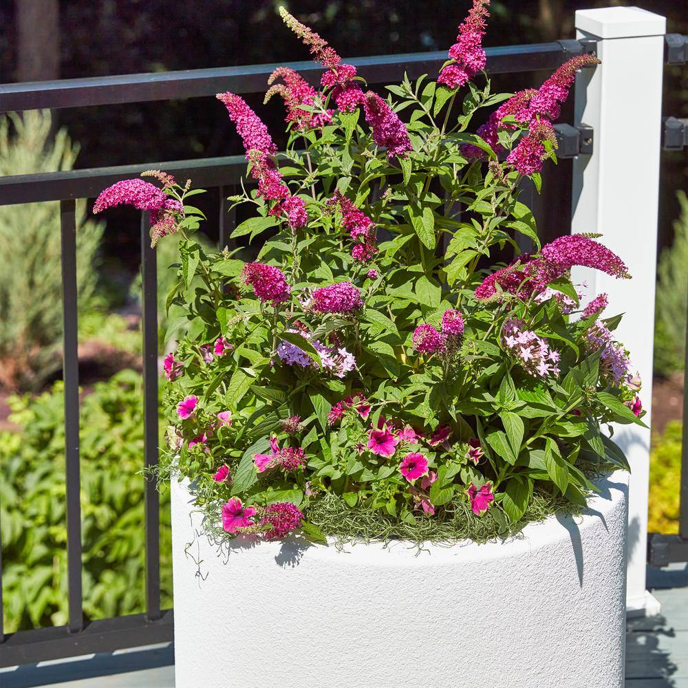 PolyStone Planters Baja Round 23 in. x 19 in. White Composite Planter