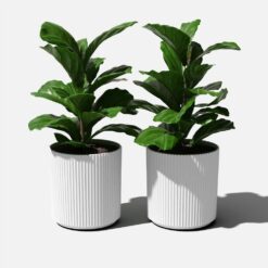 Veradek Demi 20 in. Round White Plastic Planter (2 Pack)