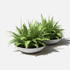 Veradek Lane Bowl 32 in. White Plastic Round Planter (2-Pack)