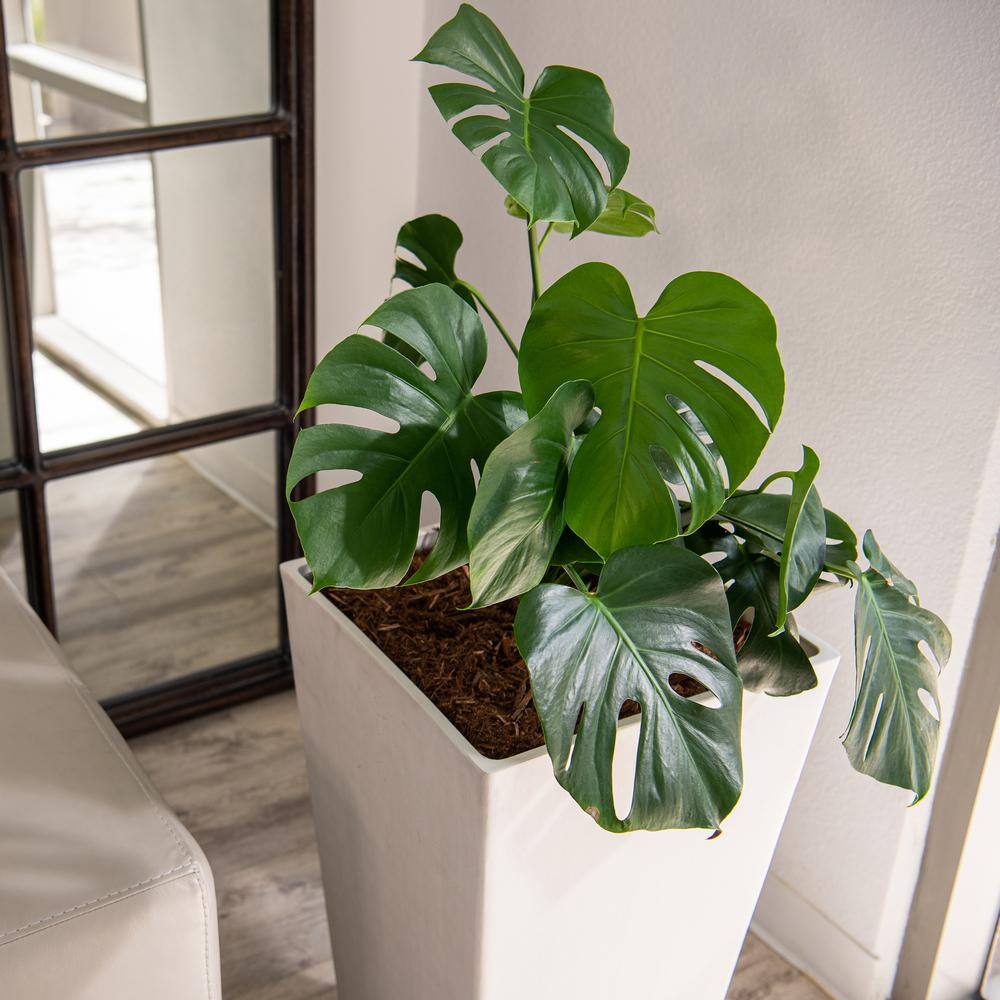 XBRAND 30 in. Tall Modern Square Planter, Tapered Floor Planter for Indoor and Outdoor, Patio Decor, Set of 2, White