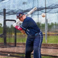 Rawlings Icon 2¾