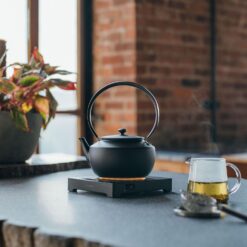 BALMUDA MoonKettle | Electric Kettle with Temp Control (122°F - 212°F) | HOLD & Keep Warm | Black
