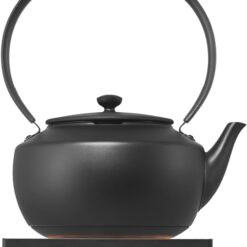 BALMUDA MoonKettle | Electric Kettle with Temp Control (122°F - 212°F) | HOLD & Keep Warm | Black