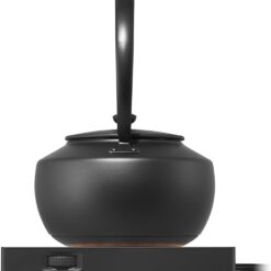 BALMUDA MoonKettle | Electric Kettle with Temp Control (122°F - 212°F) | HOLD & Keep Warm | Black