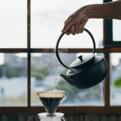 BALMUDA MoonKettle | Electric Kettle with Temp Control (122°F - 212°F) | HOLD & Keep Warm | Black