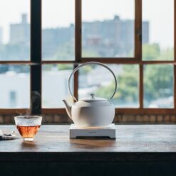 BALMUDA MoonKettle | Electric Kettle with Temp Control (122°F - 212°F) | HOLD & Keep Warm | White