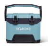 Igloo BMX Hard Coolers 25 QT, Celadon