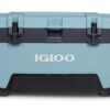 Igloo BMX Hard Coolers 72QT, Celadon