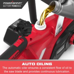 Powersmart 20V 12