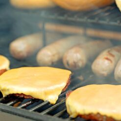 Freedom Stoves Portable Pellet Grill Smoker