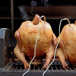 Freedom Stoves Portable Pellet Grill Smoker