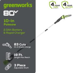 Greenworks 80V 10