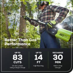 Greenworks 80V 10
