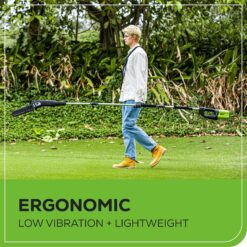 Greenworks 80V 10