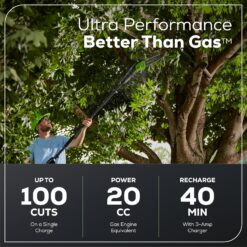 Greenworks 60v Pro 10-Inch Cordless Pole Saw with 2Ah Battery & 3A Charger 13m/s Cutting Speed, Brushless Motor, Auto Oiling