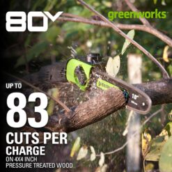 Greenworks 80V 10