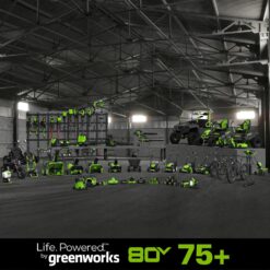Greenworks 80V 10