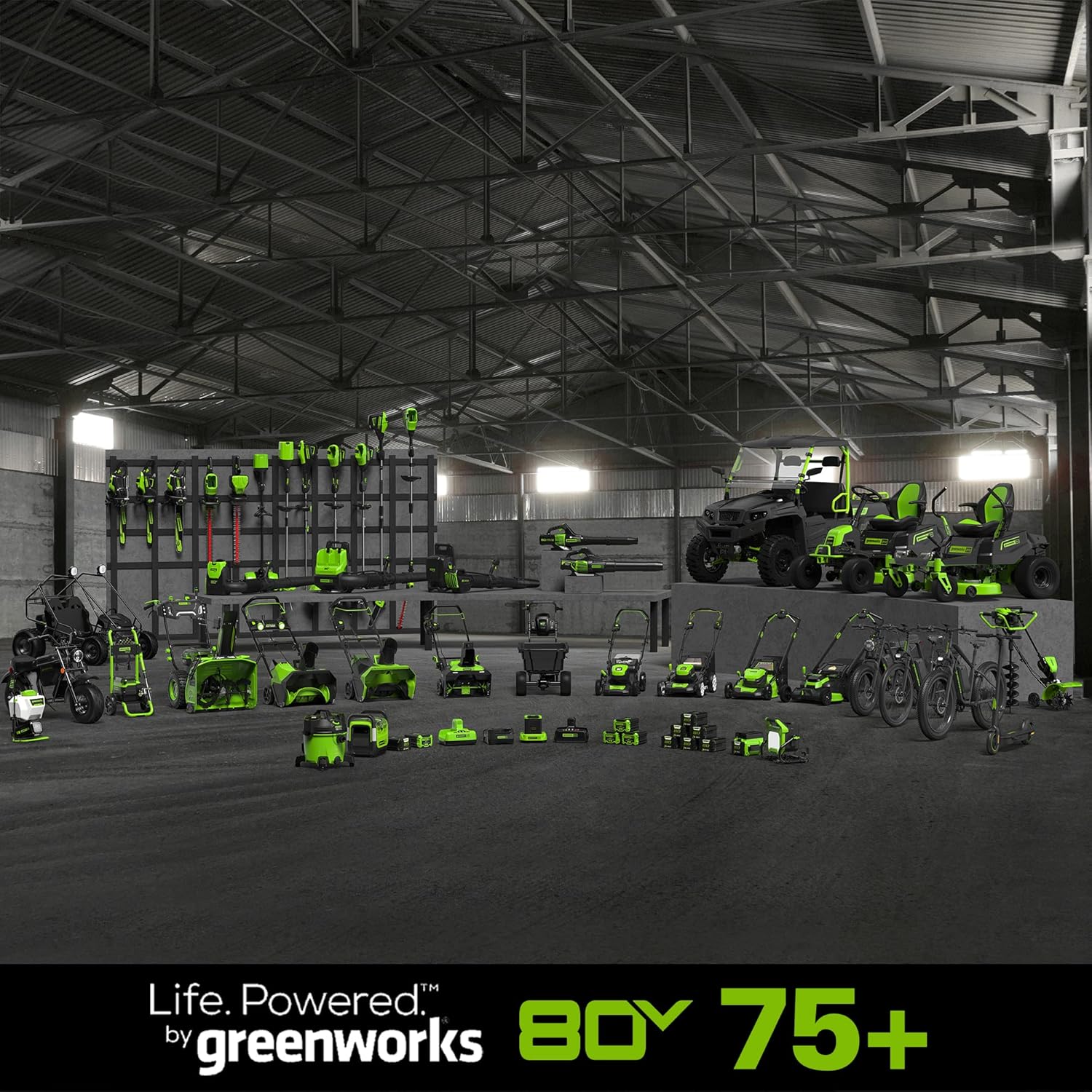 Greenworks 80V 10" Cordless Polesaw, Tool Only