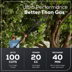 Greenworks 60v Pro 10-Inch Cordless pole Saw (only tool), 13m/s Cutting Speed, Brushless Motor, Auto Oiling