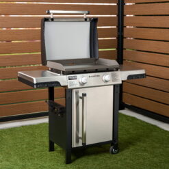 Blackstone ProSeries 2-Burner 22