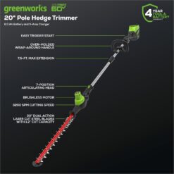 Greenworks 60V 20