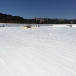 Marlin Coatings Silicone Roof Sealant - Self Leveling - Complete Waterproofing - Easy One Coat Application (5 Gallon, Black)