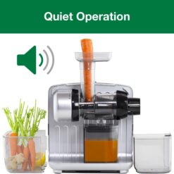 Omega Juicer Cold Press 365 Slow Masticating Vegetable and Fruit Juice Extractor and Nutrition System, Silver