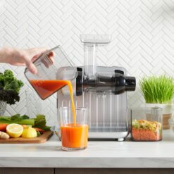 Omega Juicer Cold Press 365 Slow Masticating Vegetable and Fruit Juice Extractor and Nutrition System, Silver