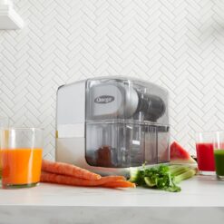 Omega Juicer Cold Press 365 Slow Masticating Vegetable and Fruit Juice Extractor and Nutrition System, Silver