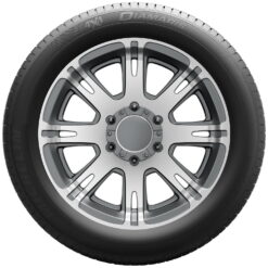 Michelin 4x4 Diamaris Summer 275/40R20/XL 106Y Tire