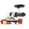 Omega Cold Press Juicer Machine, Vegetable and Fruit Juice Extractor and Nutrition System, Chrome