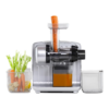 Omega Juicer Cold Press 365 Slow Masticating Vegetable and Fruit Juice Extractor and Nutrition System, Silver
