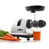 Omega Cold Press Juicer Machine, Vegetable and Fruit Juice Extractor and Nutrition System, Silver