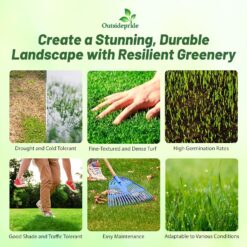 Outsidepride Maya (Blackjack II) Bermuda Grass Seed - 50 lbs Warm Season, Drought Tolerant, Fast Growing, Fine-Textured Bermuda Grass Seeds