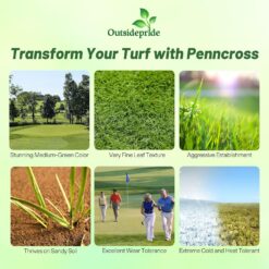 Outsidepride PC2.0 (Penncross) Creeping Bent Grass Seed – 25 lbs. Premium Golf Course Grade, Dense, Wear-Resistant Turf Grass Seeds
