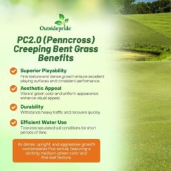 Outsidepride PC2.0 (Penncross) Creeping Bent Grass Seed – 25 lbs. Premium Golf Course Grade, Dense, Wear-Resistant Turf Grass Seeds