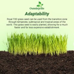 Outsidepride Royal TXD Bermuda Grass Seed Blend - 25 lbs. Warm Season, Fast Growing Turf Grass Seeds: Heat & Drought Tolerant