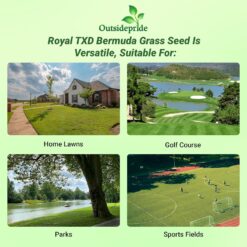 Outsidepride Royal TXD Bermuda Grass Seed Blend - 25 lbs. Warm Season, Fast Growing Turf Grass Seeds: Heat & Drought Tolerant