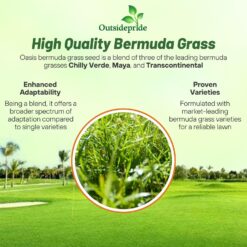 Outsidepride Oasis Bermuda Grass Seed - 50 lbs Warm Season, High Traffic, Heat Resistant, Drought-Tolerant, Low-Maintenance, Fast Growing Turf Grass