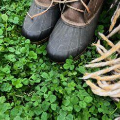 Micro Clover Seed for Lawn - 25 Lb Bulk - ~10 Million Microclover Seeds for Planting - Drought-Tolerant Mini Grass Alternative
