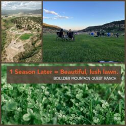Micro Clover Seed for Lawn - 25 Lb Bulk - ~10 Million Microclover Seeds for Planting - Drought-Tolerant Mini Grass Alternative