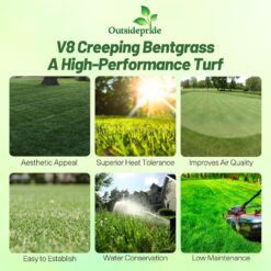 Outsidepride V8 Creeping Bentgrass Seed - 25 lbs. Fine-Bladed, Premium Quality Turf, Grass Seeds