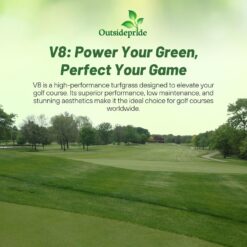 Outsidepride V8 Creeping Bentgrass Seed - 25 lbs. Fine-Bladed, Premium Quality Turf, Grass Seeds