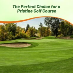 Outsidepride V8 Creeping Bentgrass Seed - 25 lbs. Fine-Bladed, Premium Quality Turf, Grass Seeds