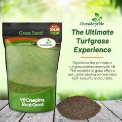 Outsidepride V8 Creeping Bentgrass Seed - 25 lbs. Fine-Bladed, Premium Quality Turf, Grass Seeds