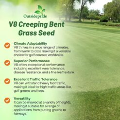 Outsidepride V8 Creeping Bentgrass Seed - 25 lbs. Fine-Bladed, Premium Quality Turf, Grass Seeds