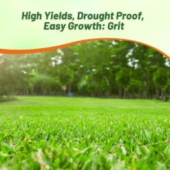 Outsidepride Forage Bermuda Seeds - 50 lb. Perennial, Drought Tolerant & Fast-Growing, Pasture Seeds for Planting Large Grass Leaves