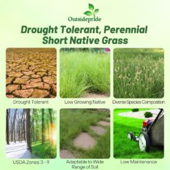 Outsidepride Perennial Short Native Grass Seed Mix - 25 lbs. Premium Mix of Blue Grama, Buffalo, Sideoats Grama, & Sheep’s Fescue Grass Seeds